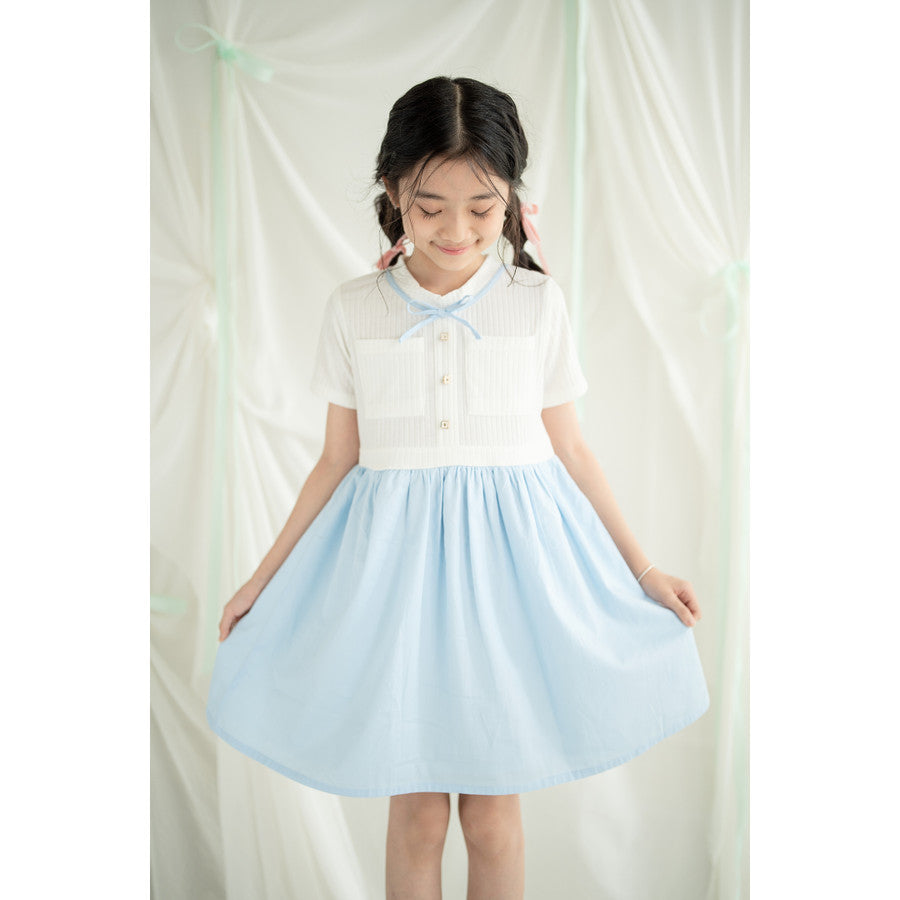 Mini Eun Bin Dress