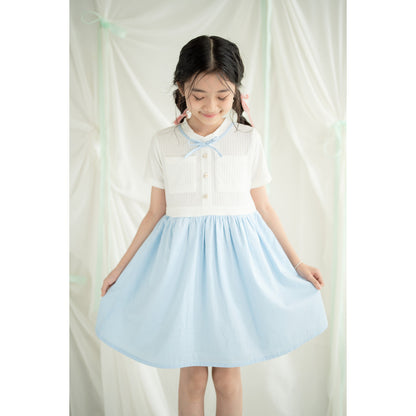 Mini Eun Bin Dress
