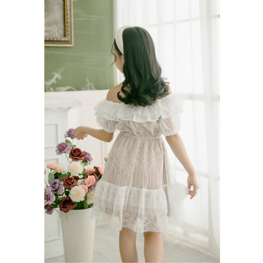Ayaco Mini Nori Lace Dress
