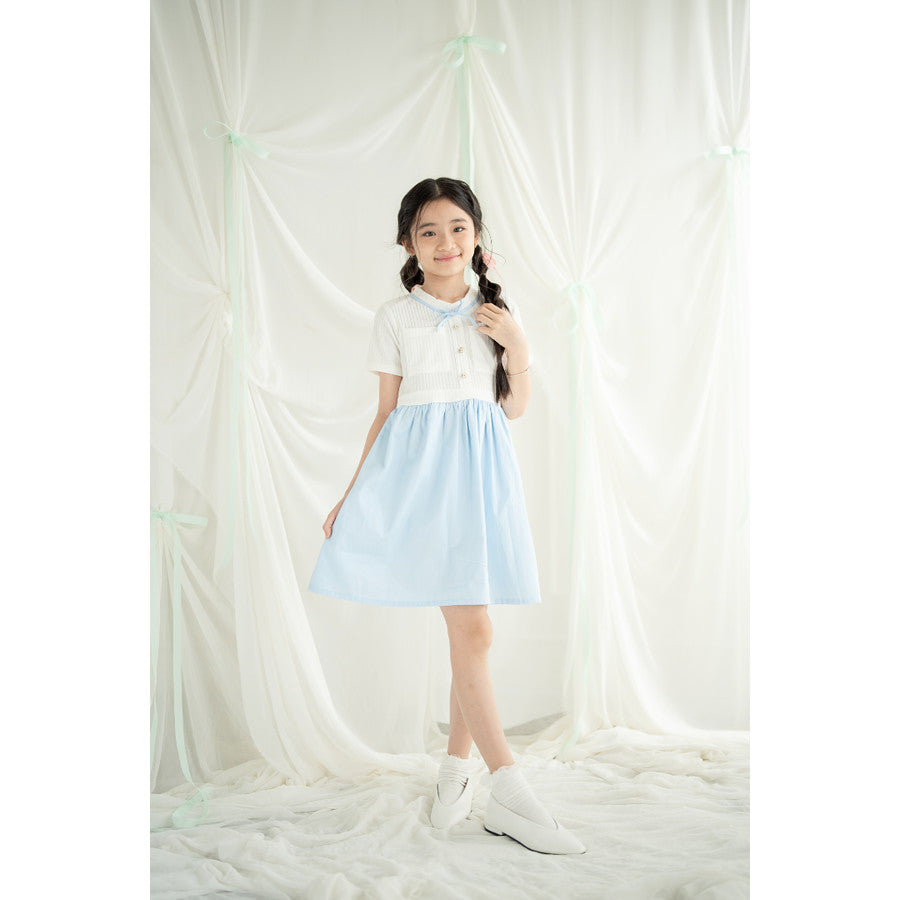 Mini Eun Bin Dress