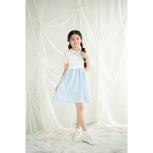Mini Eun Bin Dress