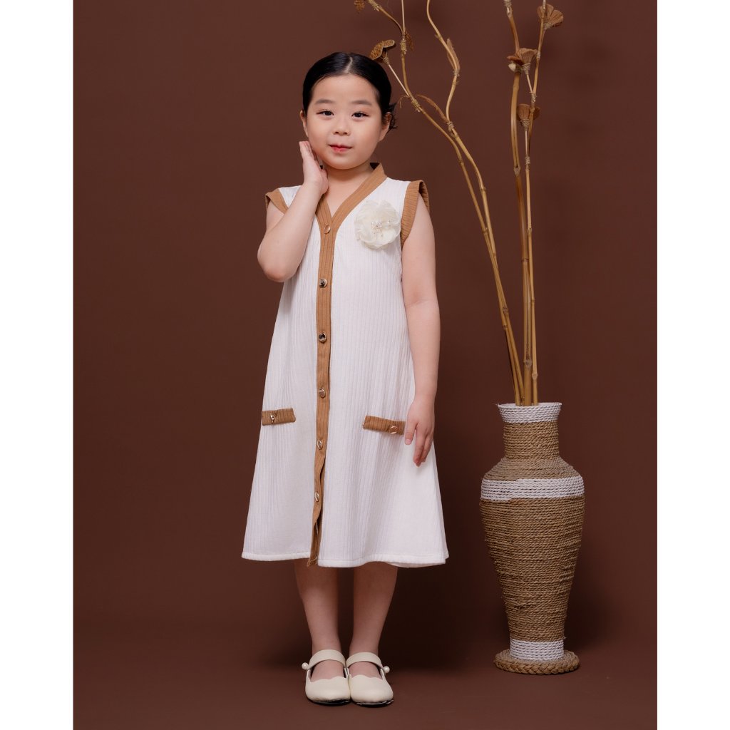 Mini Dhara Dress