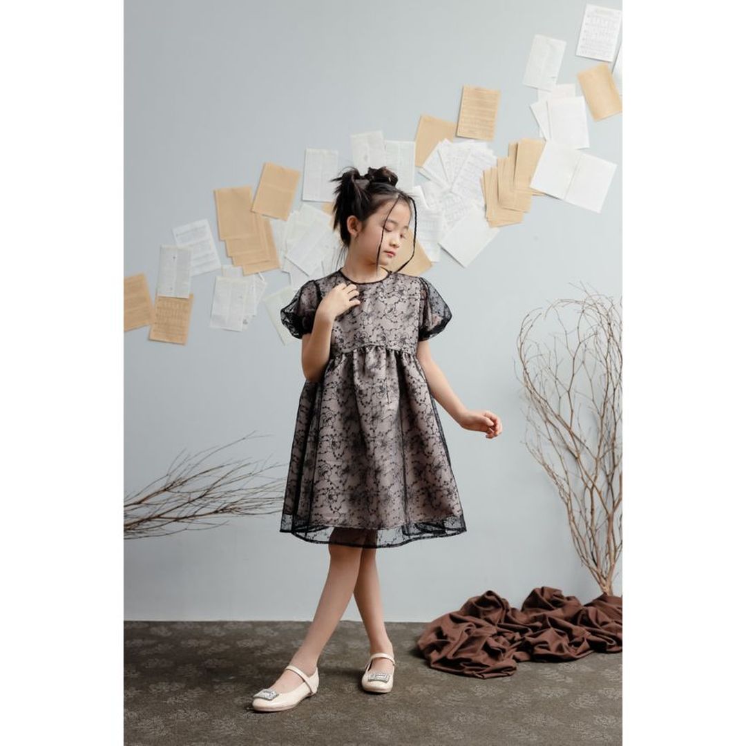 Mini Cho Rong Lace Dress