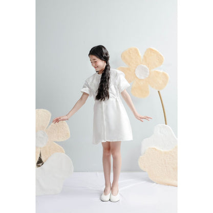 Ayaco Mini Areu Dress