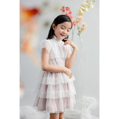 Mini Rose Lace Dress