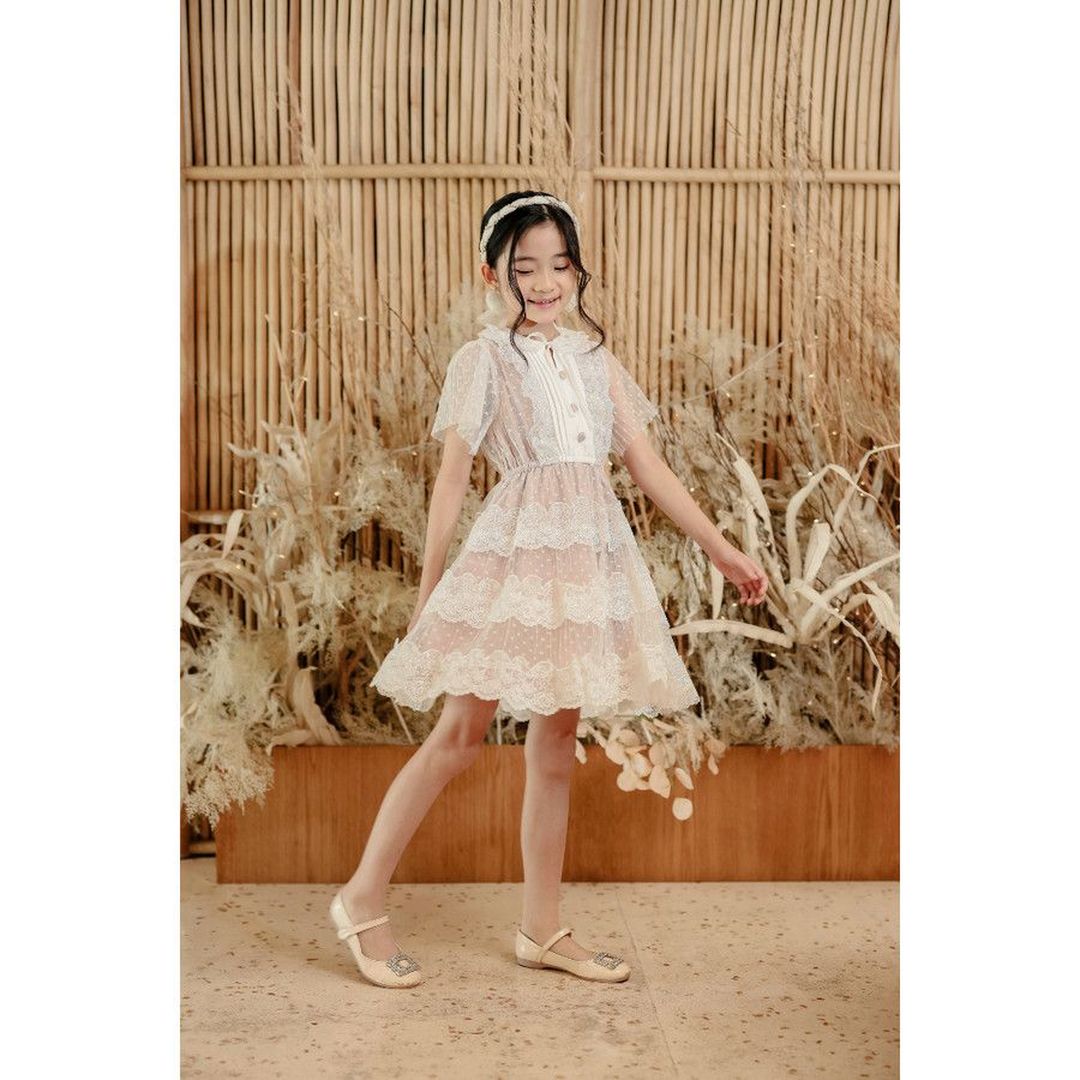 Mini Winter Lace Dress
