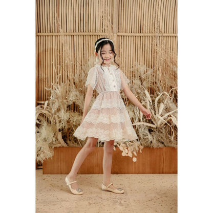 Mini Winter Lace Dress