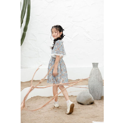 Mini Il Woo Dress