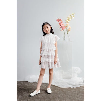 Mini Rose Lace Dress