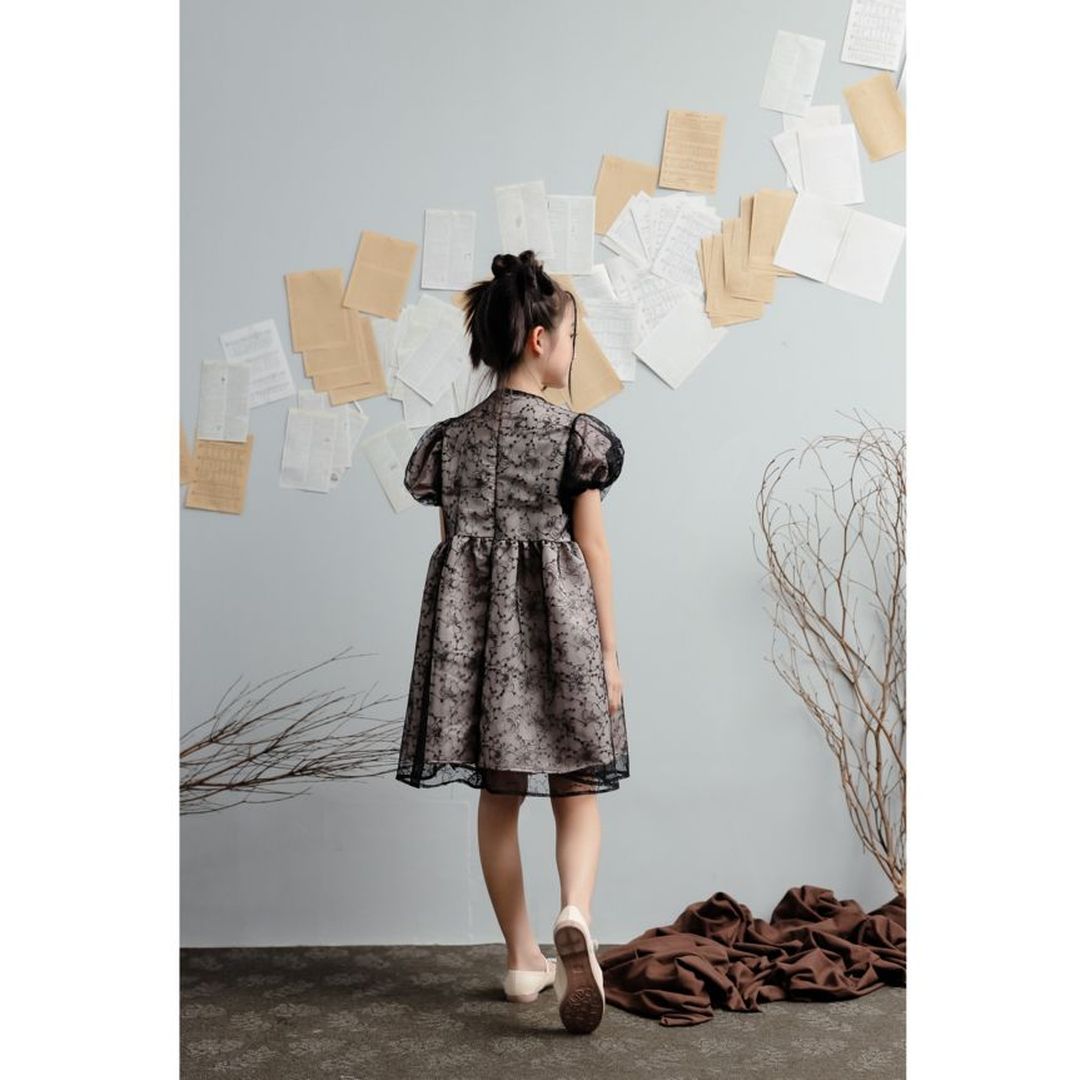 Mini Cho Rong Lace Dress
